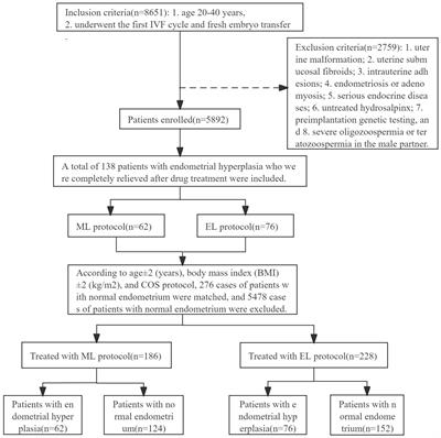 Pregnancy outcomes in infertile patients with endometrial hyperplasia with or without atypia undergoing in vitro fertilization: the early-follicular long protocol is superior to midluteal long protocol